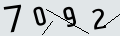 verifycode